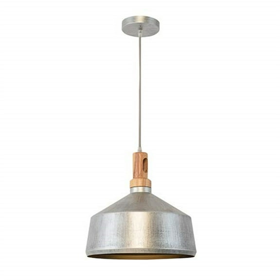 Gris Plateado Collection One Light Pendants