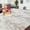 Beige, variant on Soft Fluffy Shaggy Area Rug, 6'x9' Tie-Dyed Pink Anti-Slip Plush Fuzzy Carpet for Living Room Bedroom Nursery Home Decor