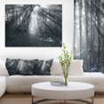 thumbnail image 1 of Sun Rays Through Gray Trees, 1 of 1