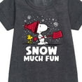 thumbnail image 2 of Peanuts - Snoopy and Woodstock Snow Much Fun - Toddler And Youth Girls Fleece Dress, 2 of 5