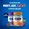 thumbnail image 4 of Mucinex Children's Mighty Chews Cough Relief chewable tablets, Mixed Berry Flavor, Combo Pack, 4 of 16