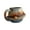 Saturn, variant on Yammee Body Coffee Mugs Astronomy Theme Ceramic Cup Solar System Planet Design Durable Home and Kitchen Accessories