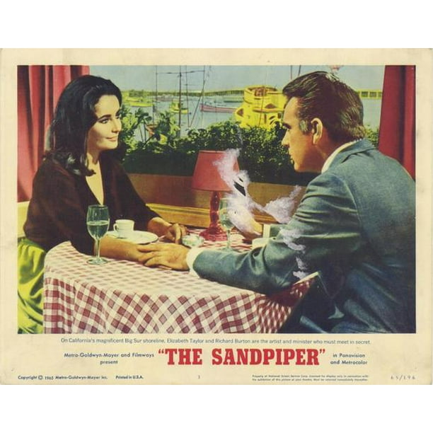 The Sandpiper movie POSTER (Style B) (11" x 14") (1965)