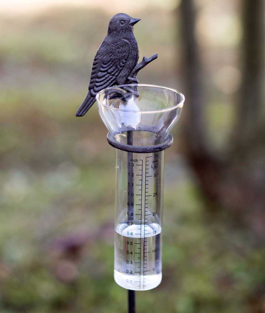 Songbird Rain Gauge Garden Stake