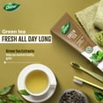 thumbnail image 2 of Pasta dental Dabur Green Tea 100 ml sin parabenos ni SLS, 2 of 7