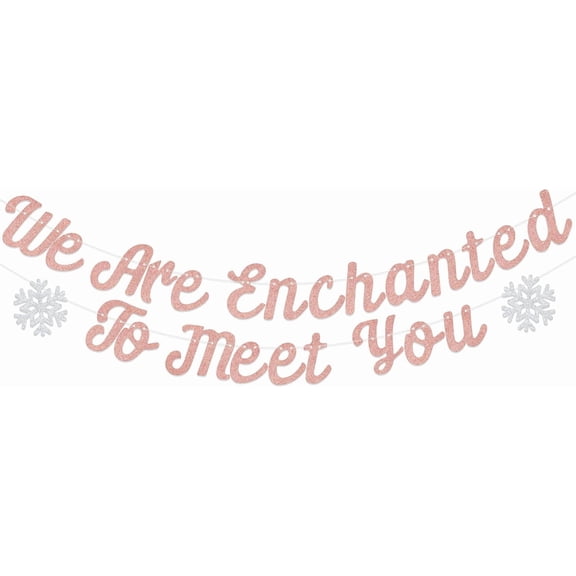 We are Enchanted to Meet You Banner, Little Snowflake Baby Shower Decorations, Baby Shower Decor Sign, What Will Our Little Snowflake Be Party Supplies Rose Gold & Silver