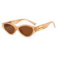 thumbnail image 1 of CSChome Lady Sunglasses Lady Sunglasses Oval Frame Vintage Hip Hop Eye Protection Photo Prop Sunglasses, 1 of 7