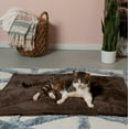 thumbnail image 4 of Furhaven ThermaNAP Self-Warming Cat Bed for Indoor Cats & Small Dogs, Washable & Reflects Body Heat - Quilted Faux Fur Reflective Bed Mat - Espresso, Small, 4 of 9