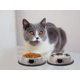 thumbnail image 2 of Cuencos de acero inoxidable para gatos Sonyaer, platos para comida y agua para gatos, cuencos apilables antideslizantes para mascotas, para gatos, gatitos, cachorros y perros pequeños, 2 of 7