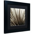 thumbnail image 2 of Trademark Fine Art "Florison 48" Canvas Art by Alan Blaustein, Black Matte, Black Frame, 2 of 4