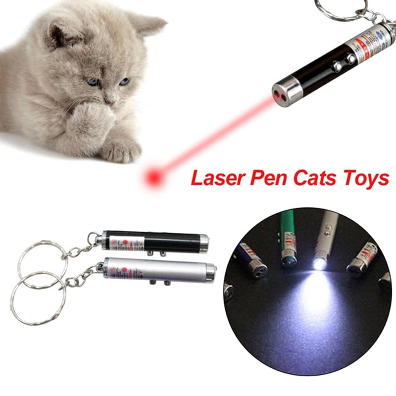 Mini Laser Pointer 2in1 Light Lazer LED Training Torch Cat Dog Fun Toy Keychain 