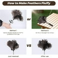 thumbnail image 4 of Ostrich Feather Duster Extendable Feather Duster Fluffy Long Handle Feather Duster Telescopic Cleaning Tool for Cleaning Ceiling Fan Pendant Lamp Walls Blinds High-Altitude Cleaning,1PC,Topboutique, 4 of 7