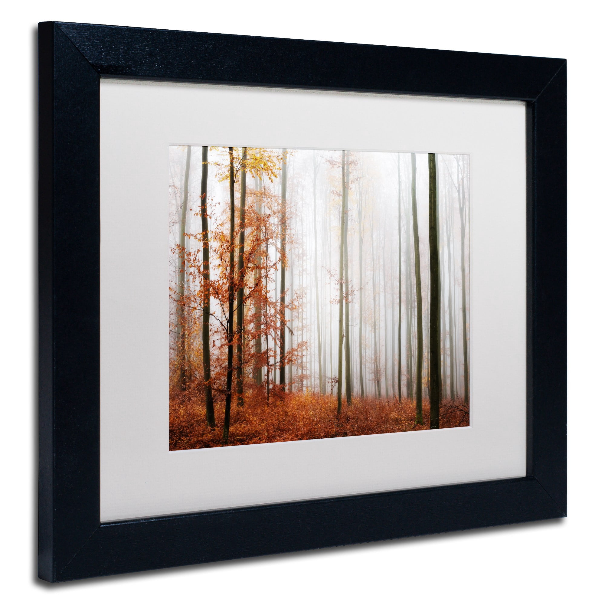 Trademark Fine Art "Forest Corner" Canvas Art by Philippe Sainte-Laudy White Matte, Black Frame