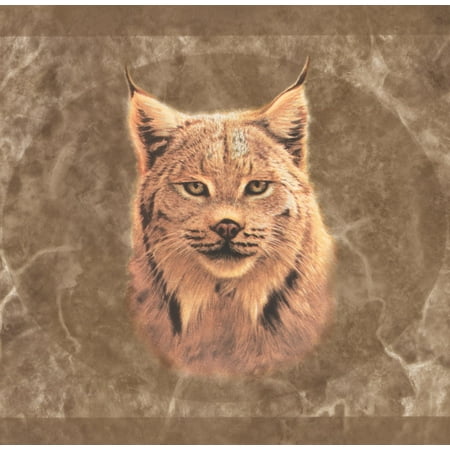 Wallpaper Border Lynx Pictures On Brown Wall Animal Lynx Pictures On Brown Wall Animal