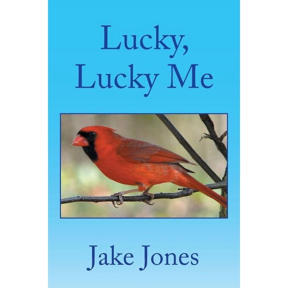 Lucky, Lucky Me (Paperback)