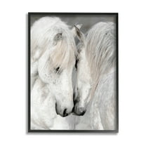 Hugging Horse Duo Wildlife Animals & Insects Photograph Black Framed Art Print Wall Art