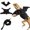Black, variant on Bearded Dragon Lizard Harness and Leash Set with Halloween Bat Wing Decor, Reptile Walking Harness with Leash for Geckos, Chameleons and Small Pets