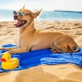 thumbnail image 3 of Gafas de sol divertidas y lindas para perros y gatos, gafas de sol de moda retro, gafas transparentes, protección para cachorros, gatos, profesores, gafas de soltero, accesorios para fotos de, 3 of 7