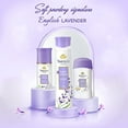 thumbnail image 3 of English Lavender Body Spray By Yardley London, 3 of 6
