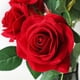 thumbnail image 4 of 12 rosas artificiales, flores individuales de tallo largo con capullos de rosa (rojo) TUNC Sencillez, 4 of 5