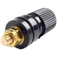 View all media