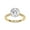 Yellow Gold, variant on Solitaire Hidden Halo Wedding Rings for Women Center 8.5MM Cushion and Round Cut Lab Created Moissanite Engagement Ring Jewelry Gift for Her In 14K Solid White Gold Size 5