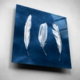 thumbnail image 5 of Epic Art 'Cyanotype Feathers II' by Grace Popp, Acrylic Glass Wall Art, 12"x12", 5 of 8