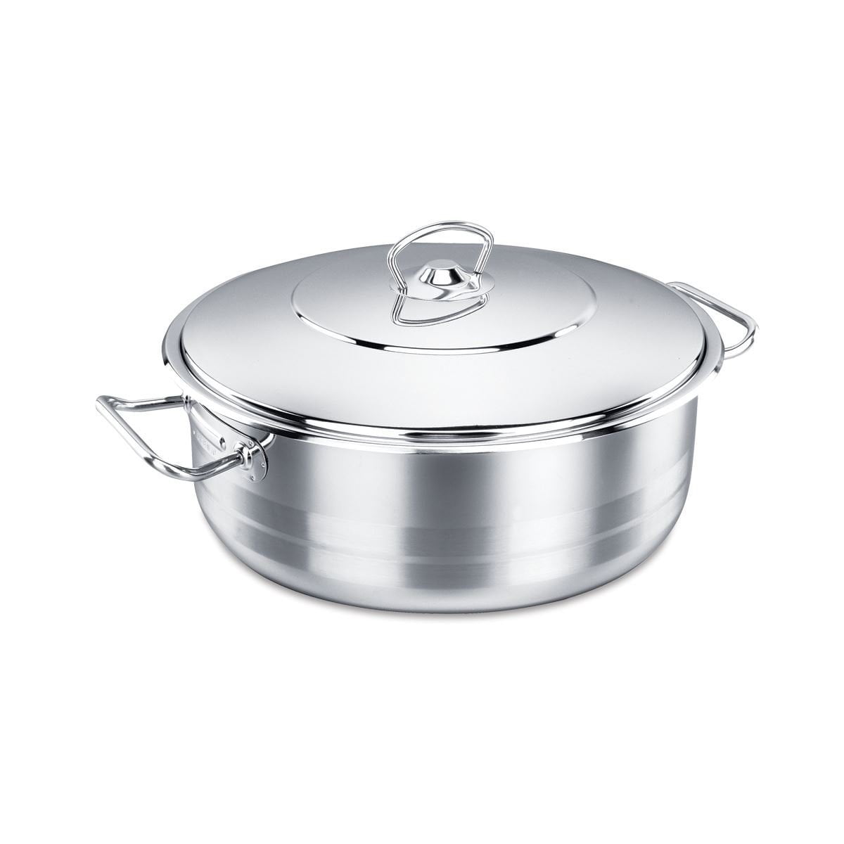 Tefal ILLICO Stainless Steel Induction Stockpot 5.7 qt Dishwasher Oven Safe PFOA 