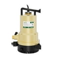 thumbnail image 6 of K2 1/4 HP Dual Utility Pump, 6 of 8