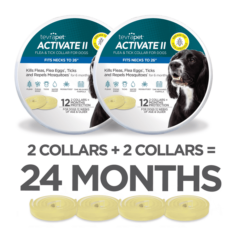 Seresto Collar Best Flea Collar For Dogs Costco Flea And Tick