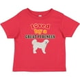 thumbnail image 3 of Inktastic Great Pyrenees Dog Lover Boys or Girls Baby T-Shirt, 3 of 5
