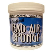 2 lb Bad Air Sponge Container (2-Pack)