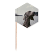 thumbnail image 1 of Dog Pet Animal Gray Picture Toothpick Flags Cupcake Picks Party Celebration, 1 of 3
