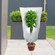 thumbnail image 4 of Cubiertas De Plantas Tela de cubierta de protección de plantas de arbustos de árboles para plantas de invierno contra el frío L Ndcxsfigh Libre de BPA, 4 of 7