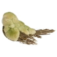 thumbnail image 6 of 8.5" Green and Brown Autumn Harvest Twig Bird, 6 of 6