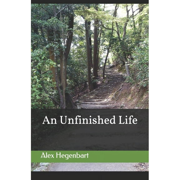 An Unfinished Life (Paperback)
