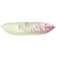 thumbnail image 4 of Everything Comfy Leopard Print Decorative Pillow, 16x6 Inch, Pastel Gradient/White,, 4 of 4