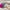 Pink, variant on 100Fens Beach Head Tent,Automatic Quick-Opening Beach Shade And Sun Protection Head Tent