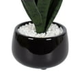 thumbnail image 3 of Kotera Snake Plant in Ceramic Pot, 3 of 8