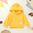 thumbnail image 6 of Younger Tree Toddler Baby Hooded Sweatshirt Girl Boy Winter Long Sleeve Pullover Blouse Top Clothes for 18-24 Months, 6 of 8