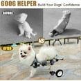 thumbnail image 4 of LetPetRun Dog Wheelchair for Back Legs, Adjustable Pet Wheelchair for Small Dogs Hind Leg Mobility Support, Lightweight Aluminum Dog Cart, White, XS, 4 of 6