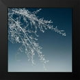 thumbnail image 2 of Pollard, David 12x12 Black Modern Framed Museum Art Print Titled - Tree Silhouette I White on Light Blue, 2 of 5