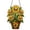 A003- Clear C, variant on Stained Glass Suncatcher Hanging Halloween Decorations 12 Inch Cute Ghost Decor Fall Wall Decor Spooky Halloween Decorations for Home Indoor Autumn Themed Hanging Window Decor, 1