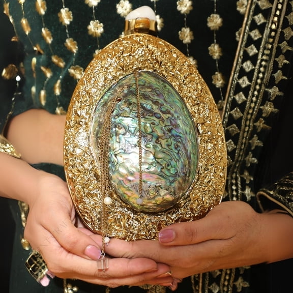 Different Craft India Gold Embellished Iridescent Paua Abalone Shell Clutch