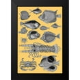 thumbnail image 2 of Renard, Louis 13x18 Black Modern Framed Museum Art Print Titled - Tropical Fish Collage 4-Yellow Background, 2 of 5