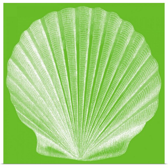 Great BIG Canvas | "Saturated Shells II" Art Print - 16x16