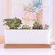 thumbnail image 5 of Maceta decorativa rectangular blanca para suculentas, maceta blanca para cactus con bandeja de madera, 5 of 5