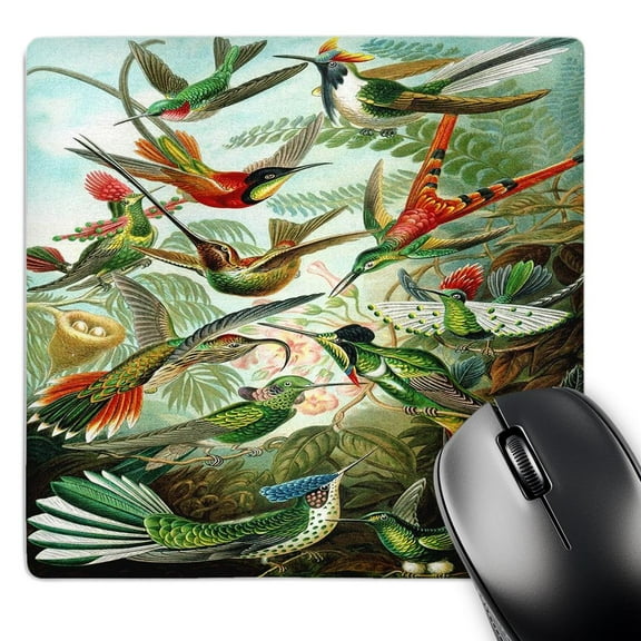 3dRose, Famous Biologist Sketch Of Hummingbirds 1904, MousePad