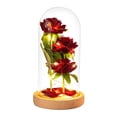 thumbnail image 2 of BSJJY Glass Rose Flower for Women, Rose Flower Gifts for Women, Red Light Up Rose in A Glass Dome,Rose Gifts for Mom Her Christmas, Anniversary, Wedding, Valentines (A), 2 of 2