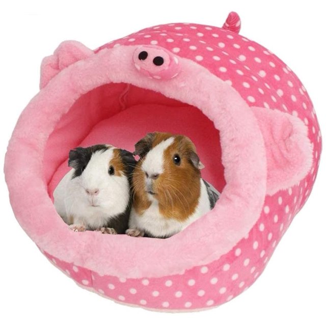 Chinchilla erizo conejillo de indias cama accesorios jaula juguetes dragón barbudo casa hámster suministros hábitat hurón rata Xemadio WMZL-582-12